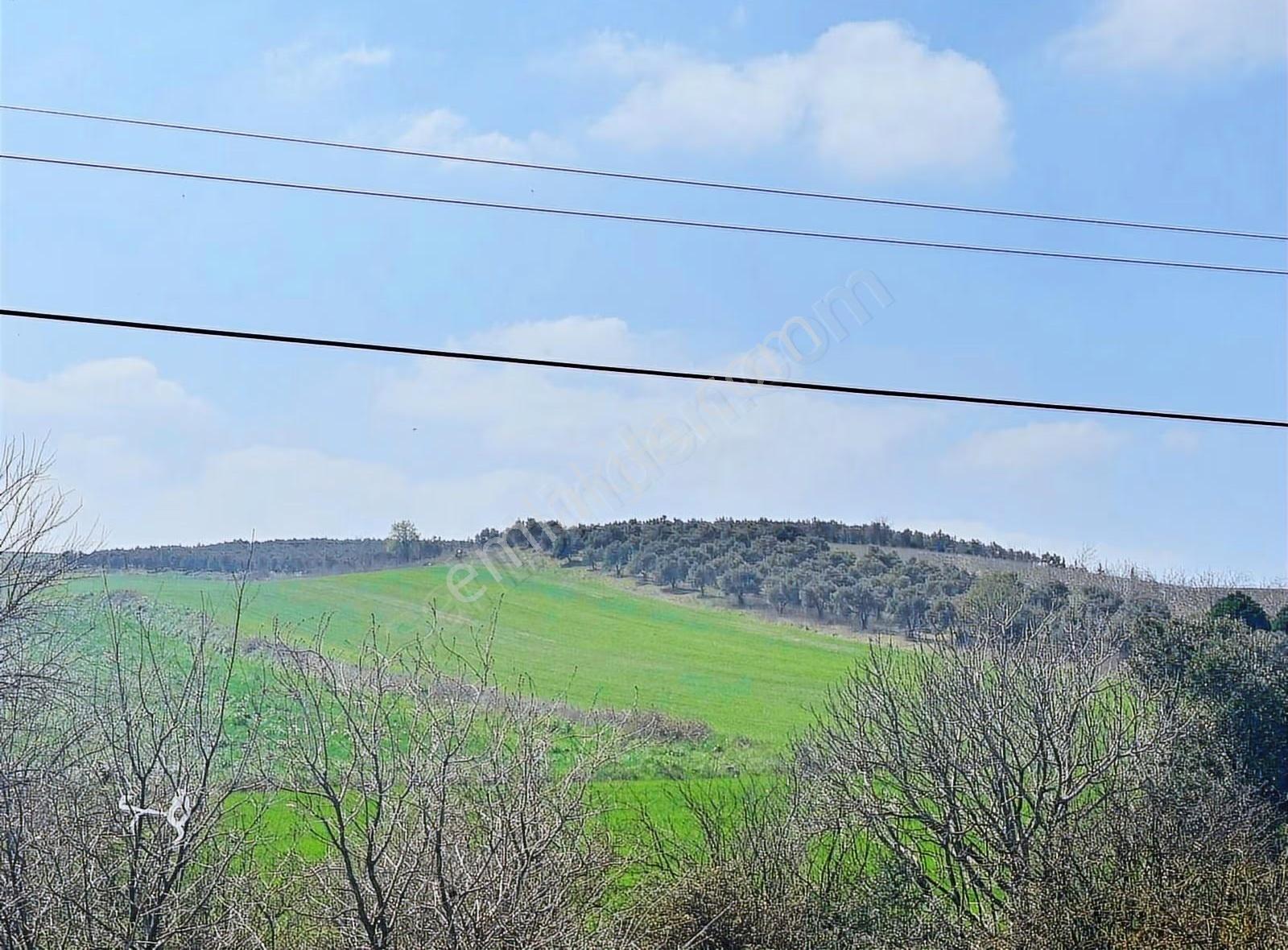 Mustafakamelpaşa Kavaklı Mah. 25.500 M² Satılık Tarla - Görsel 2