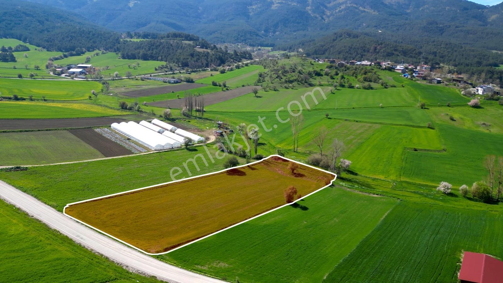Bolu Mudurnu Dolayüz' De Yola Cephe Satılık Tarla New Doors R.g. - Görsel 9