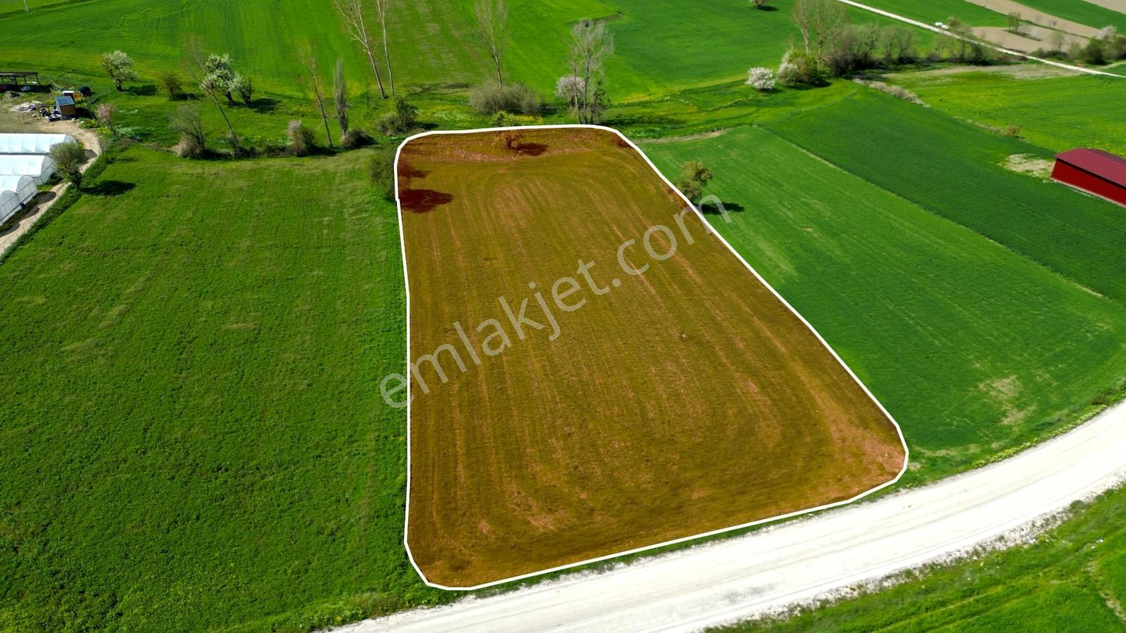 Bolu Mudurnu Dolayüz' De Yola Cephe Satılık Tarla New Doors R.g. - Görsel 6