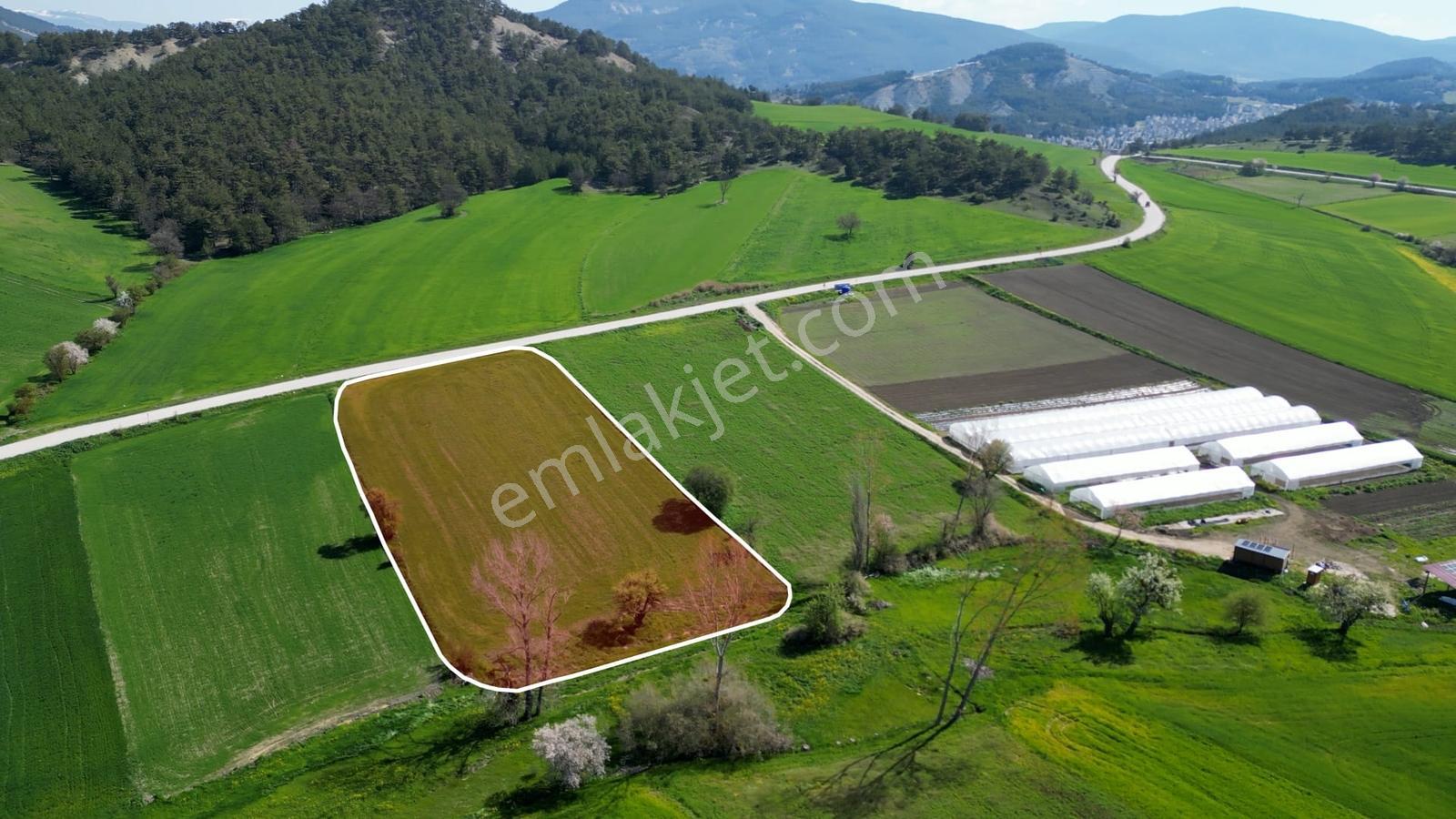 Bolu Mudurnu Dolayüz' De Yola Cephe Satılık Tarla New Doors R.g. - Görsel 10