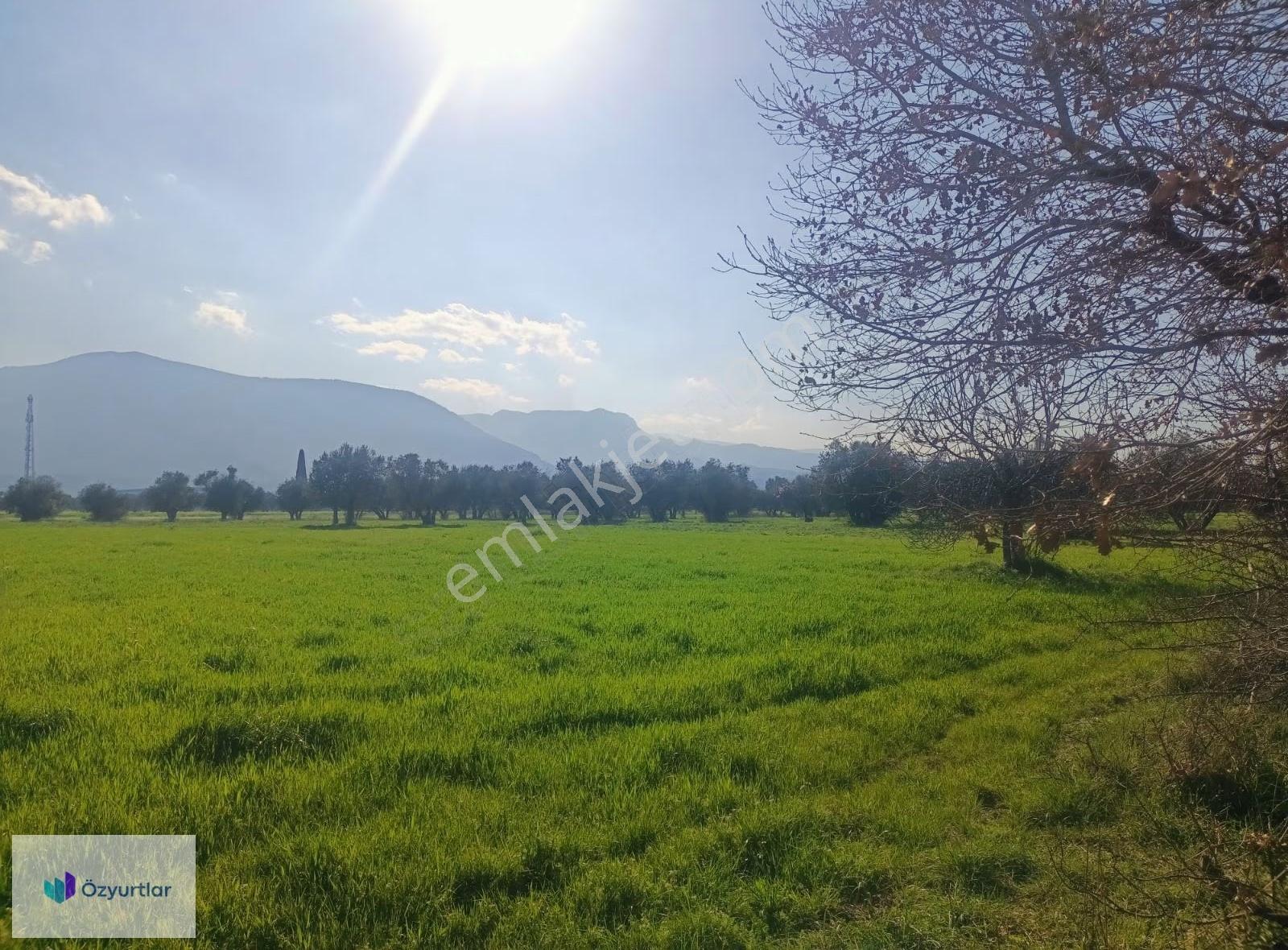 Manisa Karaalide Sanayi İçinde 2.117 M² Kiralık Açık Arazi - Görsel 7