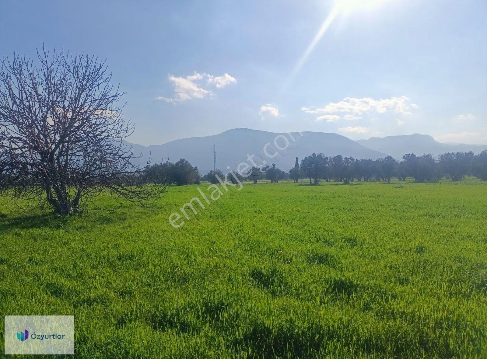 Manisa Karaalide Sanayi İçinde 2.117 M² Kiralık Açık Arazi - Görsel 6