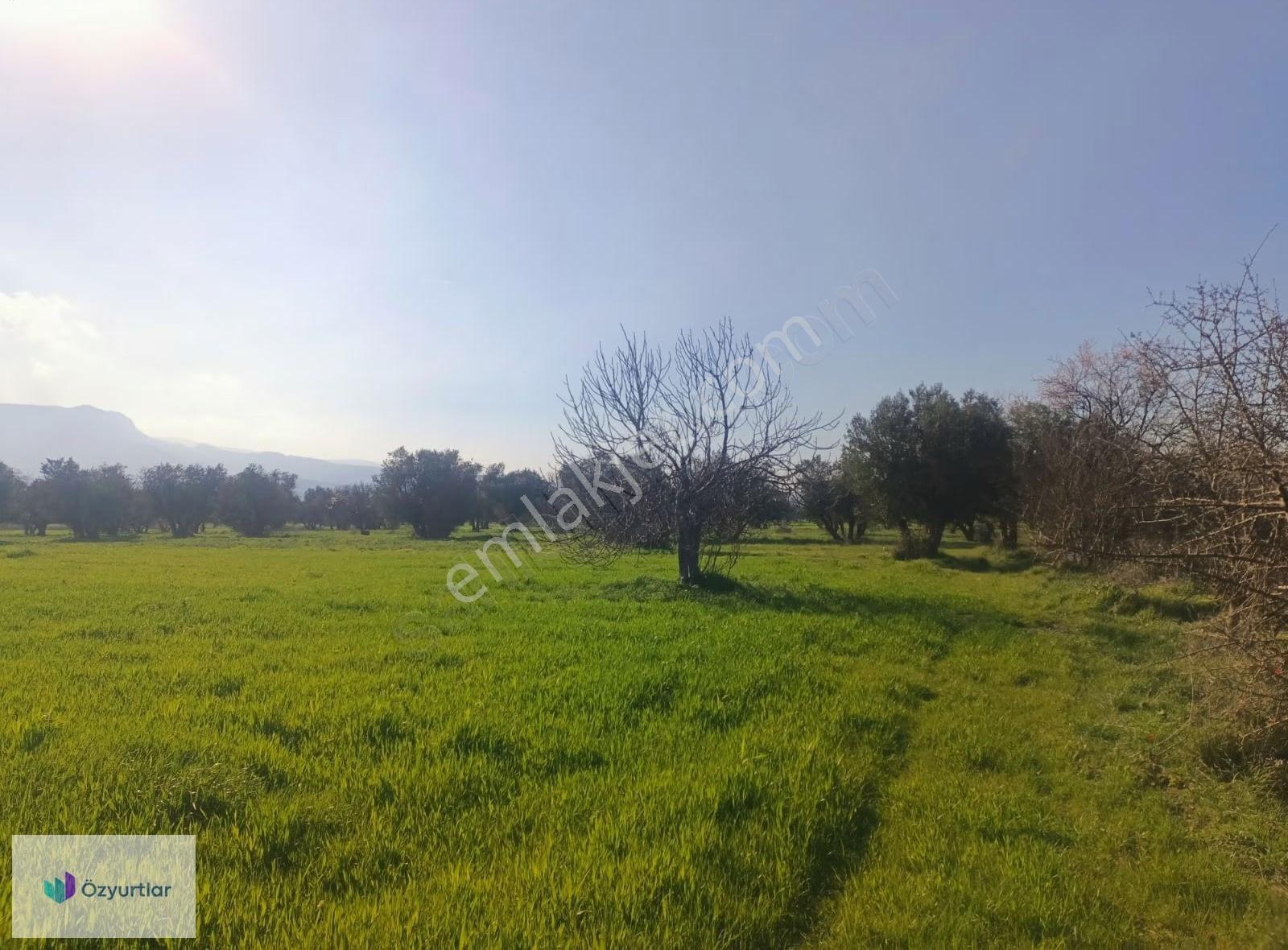Manisa Karaalide Sanayi İçinde 2.117 M² Kiralık Açık Arazi - Görsel 4