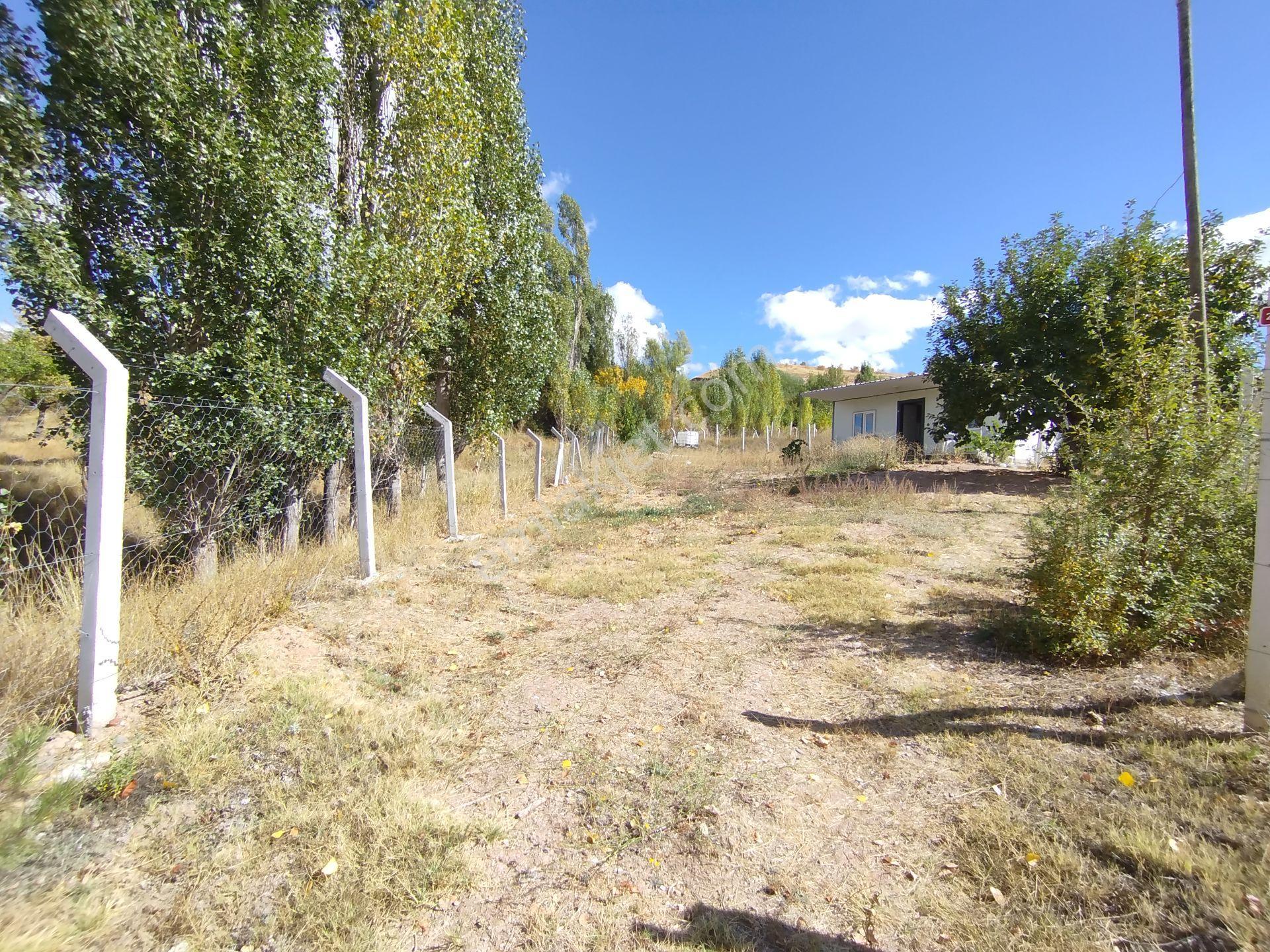 Sivas Esenyurt Sınırında Tapulu Satılık Tarla 500 M² - Görsel 17