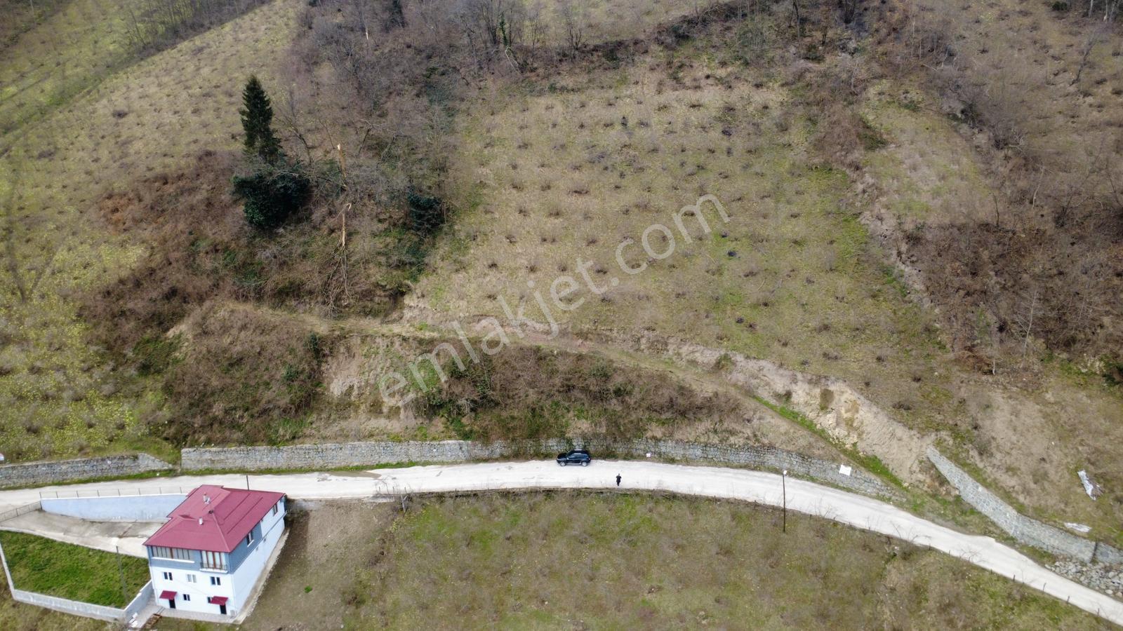 Trabzon'da Satılık Arazi - Görsel 23