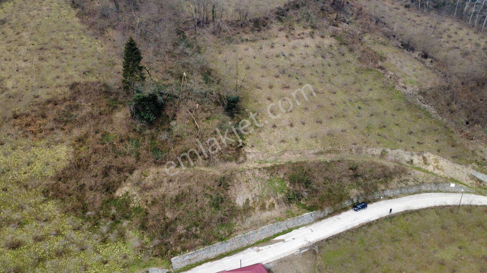 Trabzon'da Satılık Arazi - Görsel 13