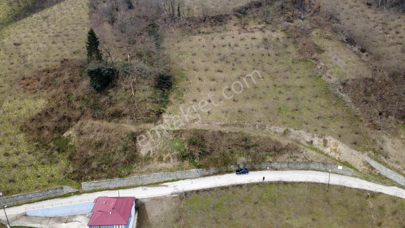 Trabzon'da Satılık Arazi - Görsel 17