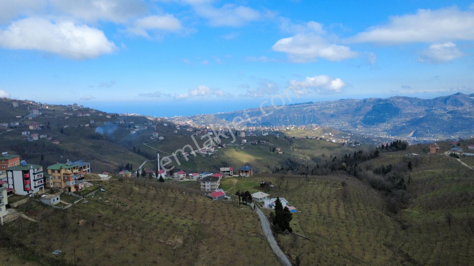 Trabzon'da Satılık Arazi - Görsel 11