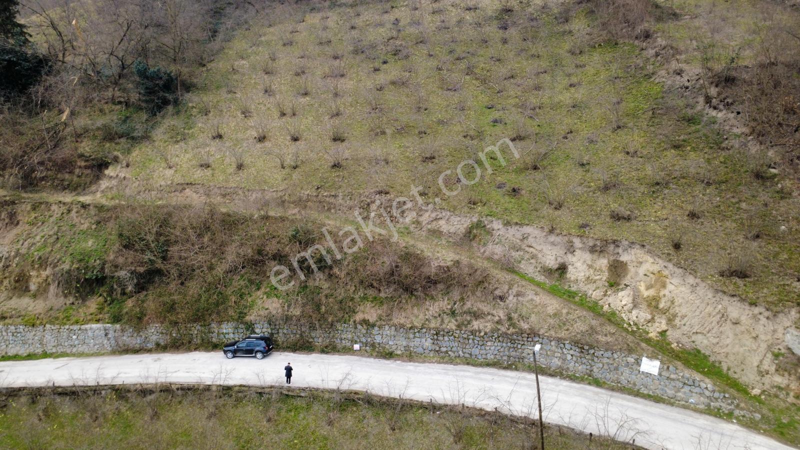 Trabzon'da Satılık Arazi - Görsel 9