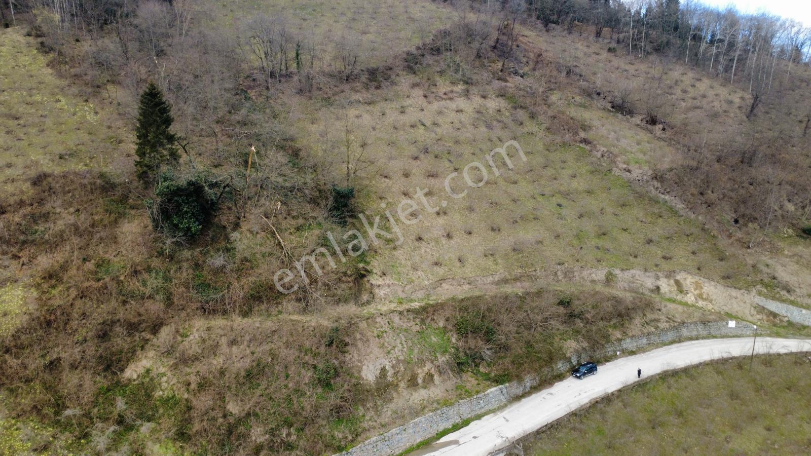 Trabzon'da Satılık Arazi - Görsel 12