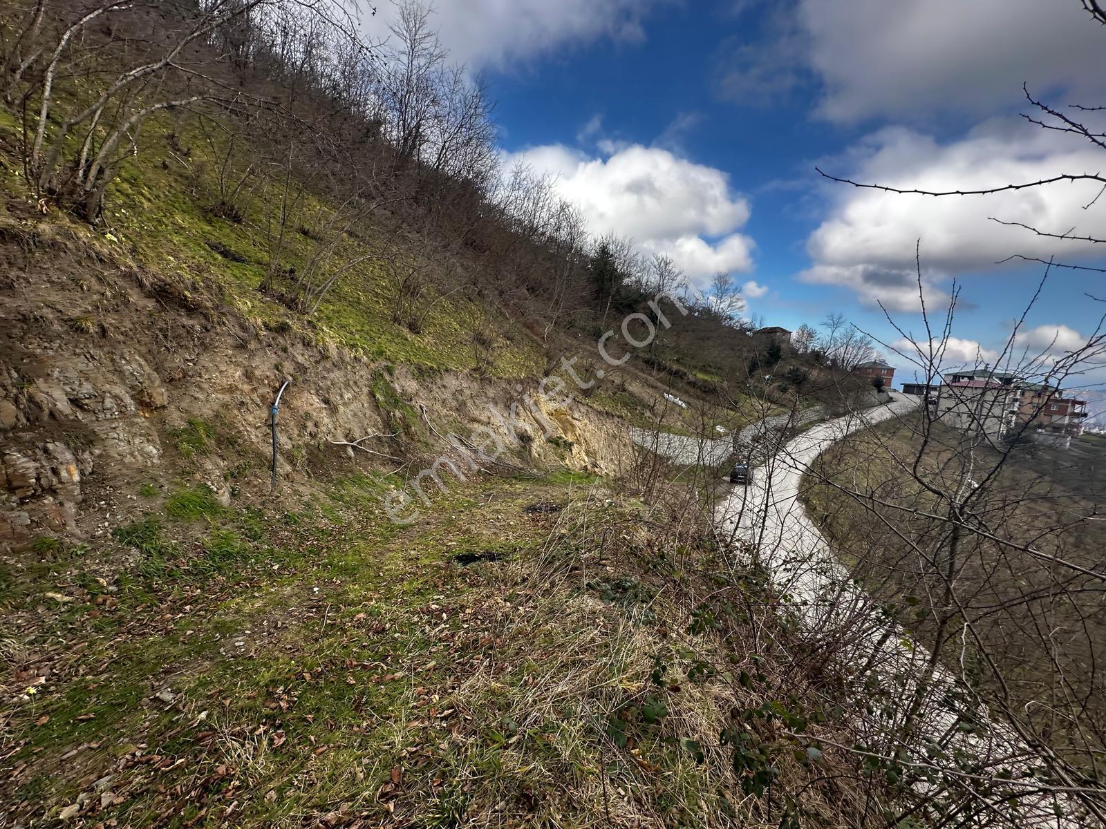 Trabzon'da Satılık Arazi - Görsel 35