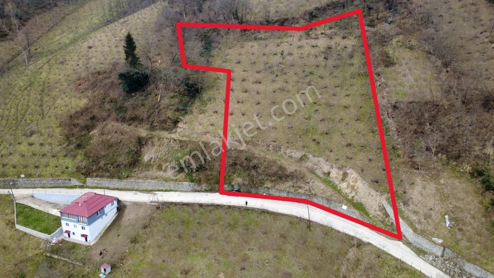 Trabzon'da Satılık Arazi - Görsel 5