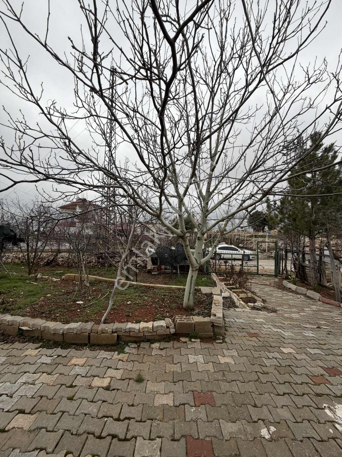Erdemli Arkıtta Satılık Ev Ve Arsa Takasa Acık - Görsel 3