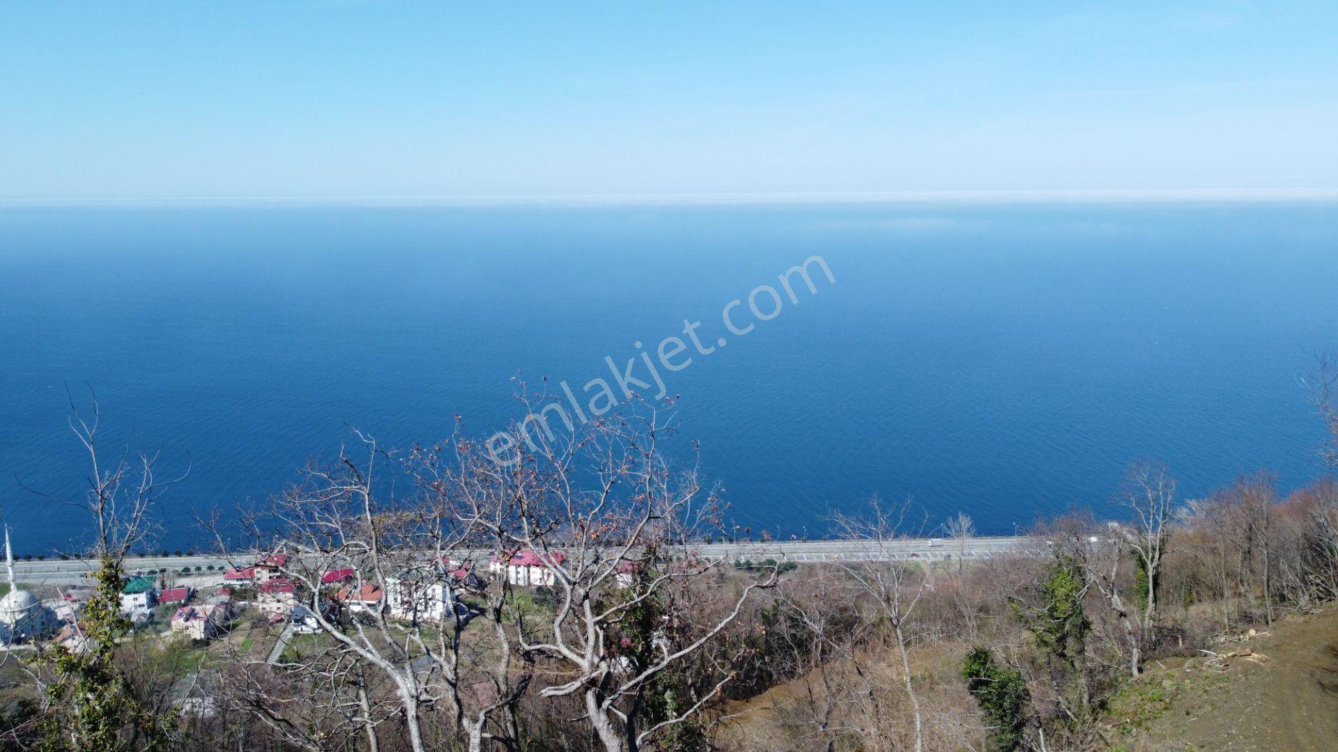 🌿 Çarşıbaşı Fener’de Panoramik Deniz Manzaralı Villa İmarlı Arsa 🌊 - Görsel 23