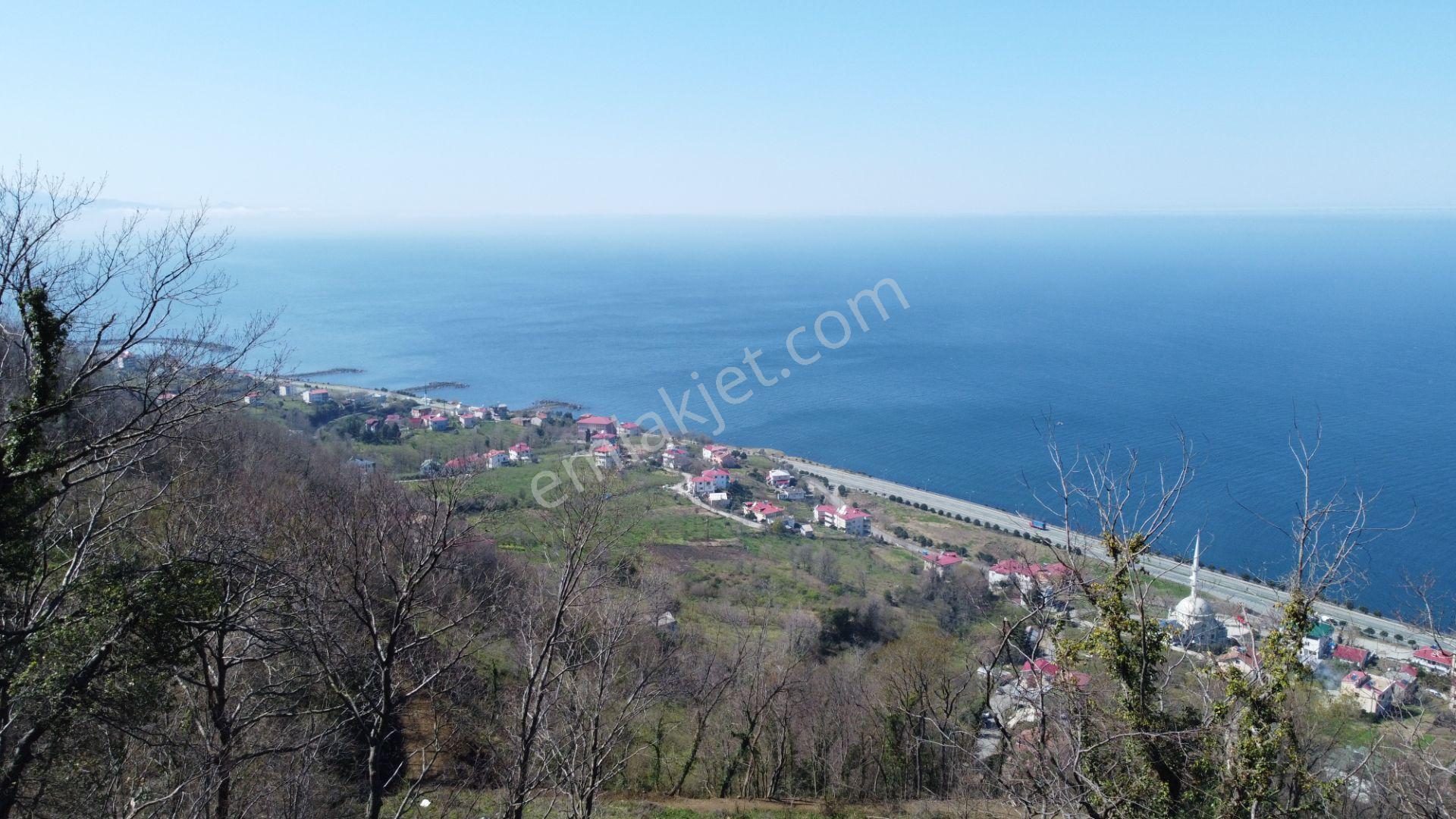 🌿 Çarşıbaşı Fener’de Panoramik Deniz Manzaralı Villa İmarlı Arsa 🌊 - Görsel 21