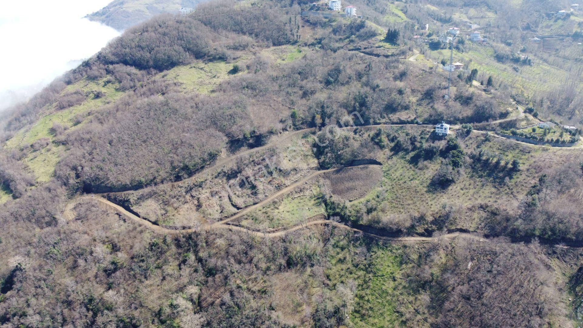 🌿 Çarşıbaşı Fener’de Panoramik Deniz Manzaralı Villa İmarlı Arsa 🌊 - Görsel 8