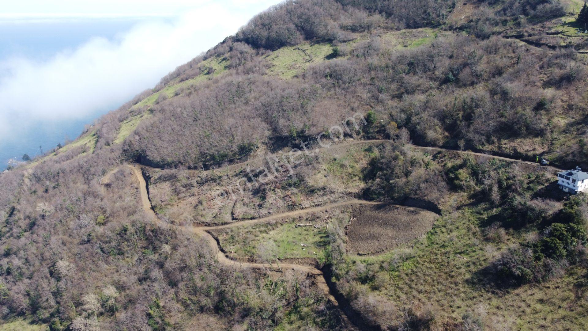 🌿 Çarşıbaşı Fener’de Panoramik Deniz Manzaralı Villa İmarlı Arsa 🌊 - Görsel 2