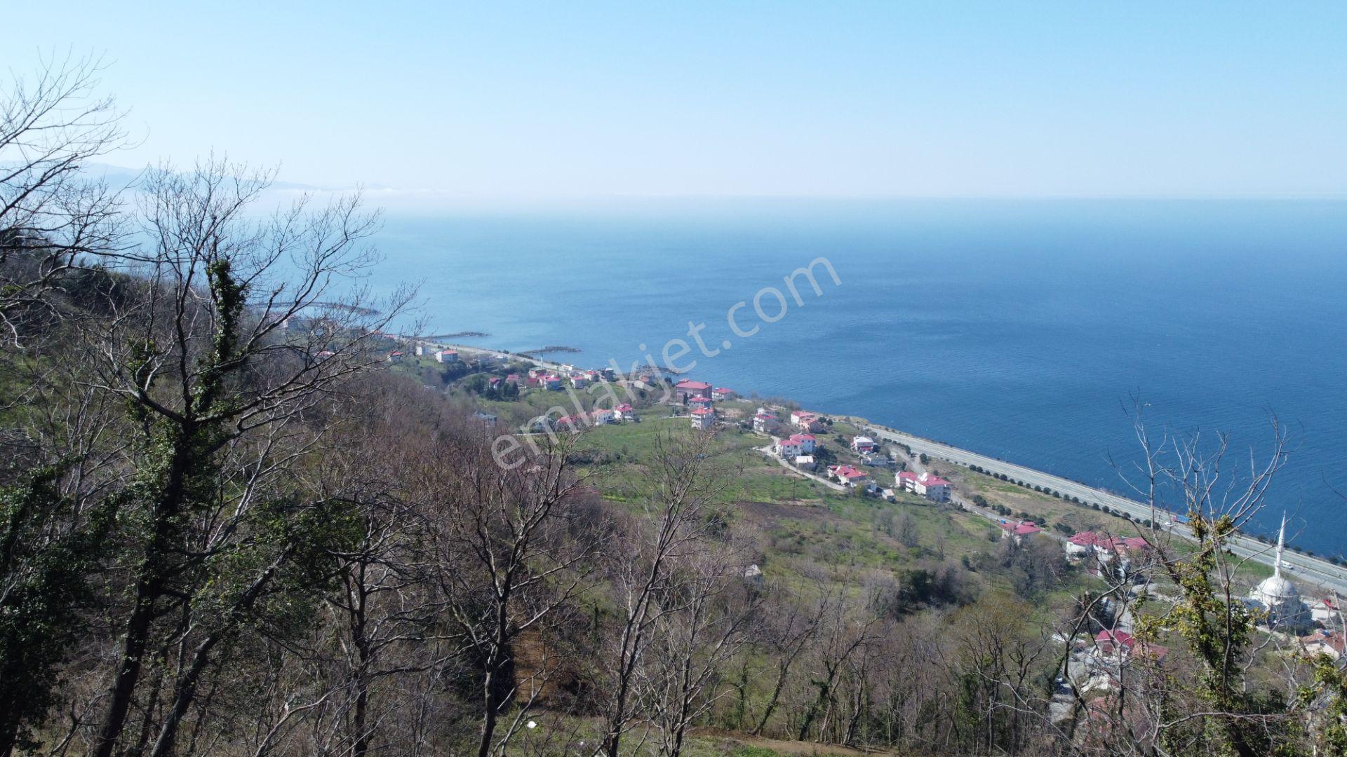 🌿 Çarşıbaşı Fener’de Panoramik Deniz Manzaralı Villa İmarlı Arsa 🌊 - Görsel 20