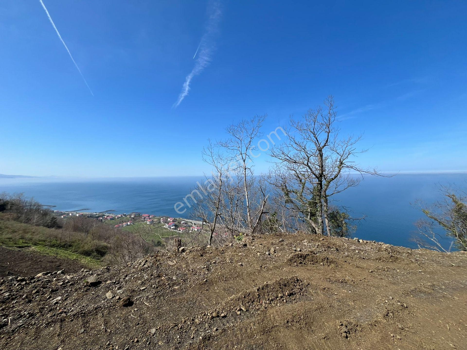 🌿 Çarşıbaşı Fener’de Panoramik Deniz Manzaralı Villa İmarlı Arsa 🌊 - Görsel 28