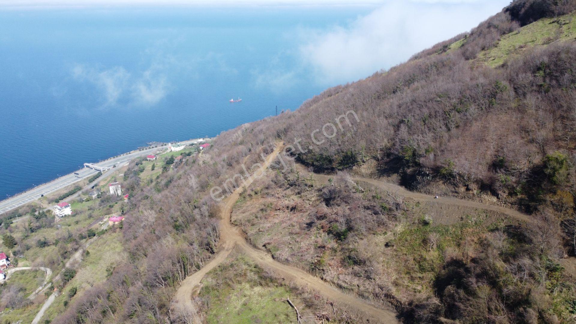 🌿 Çarşıbaşı Fener’de Panoramik Deniz Manzaralı Villa İmarlı Arsa 🌊 - Görsel 16