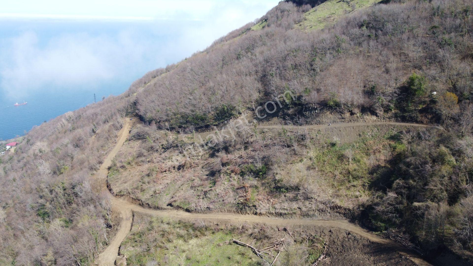 🌿 Çarşıbaşı Fener’de Panoramik Deniz Manzaralı Villa İmarlı Arsa 🌊 - Görsel 14