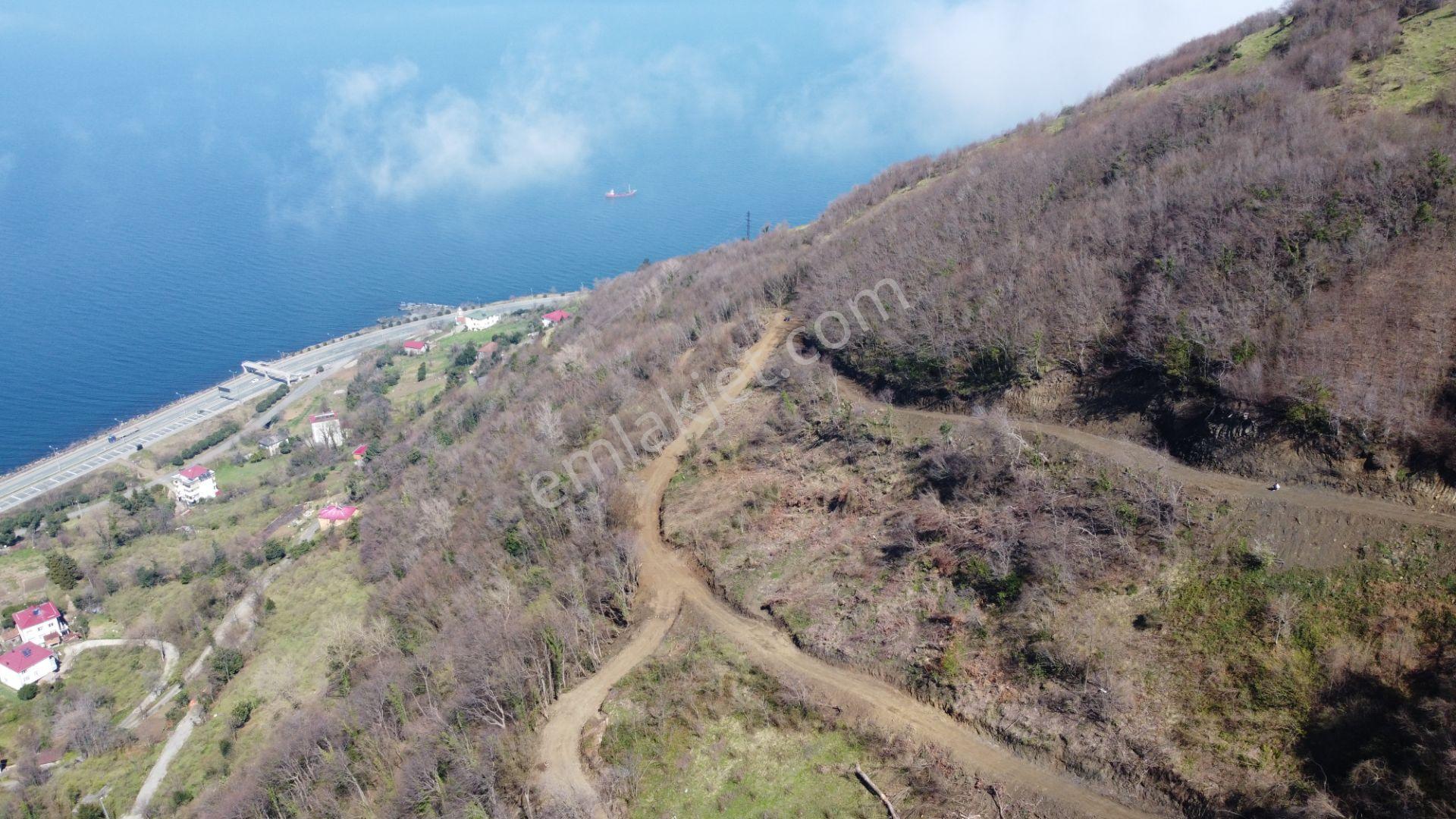 🌿 Çarşıbaşı Fener’de Panoramik Deniz Manzaralı Villa İmarlı Arsa 🌊 - Görsel 15