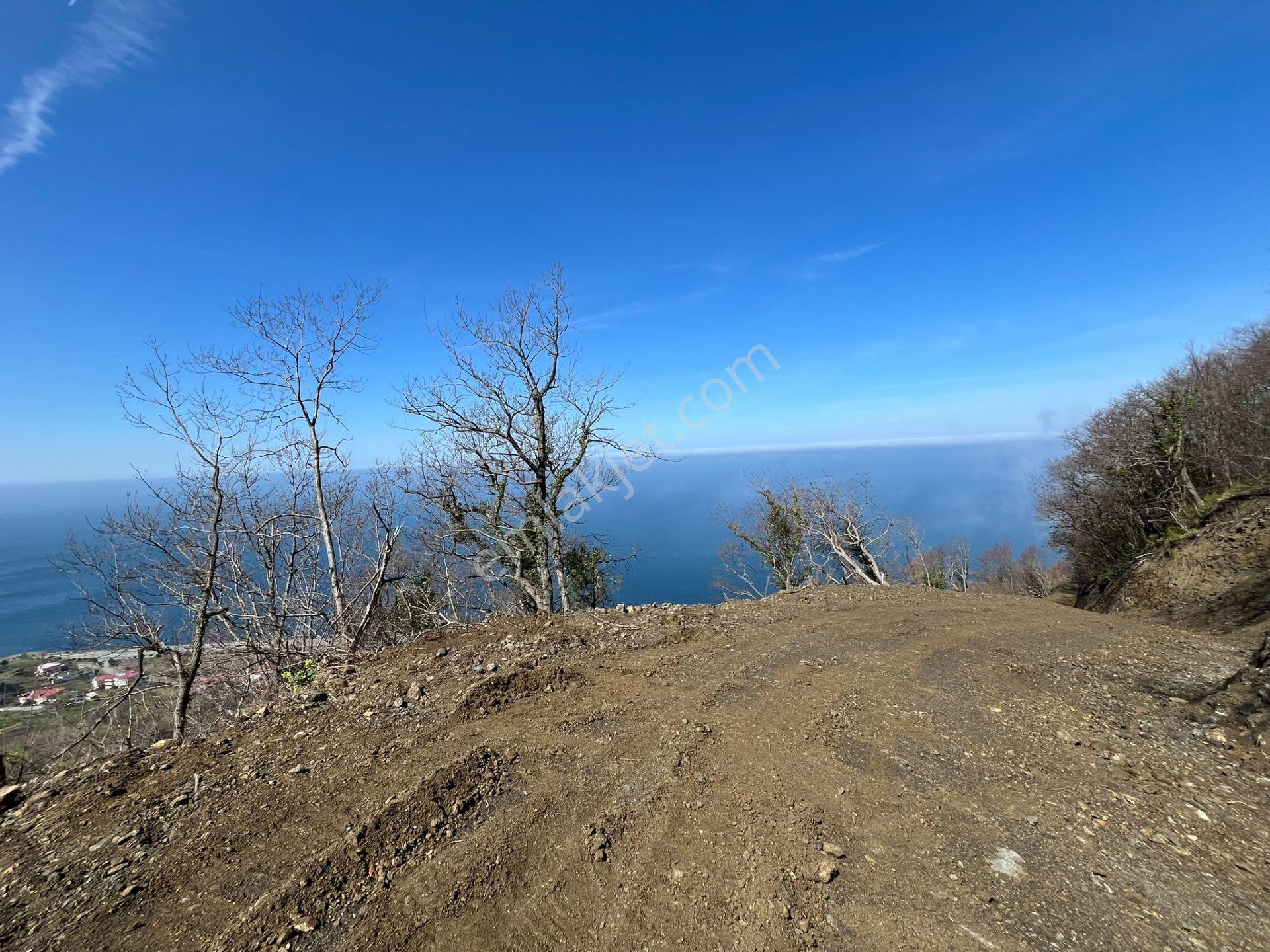 🌿 Çarşıbaşı Fener’de Panoramik Deniz Manzaralı Villa İmarlı Arsa 🌊 - Görsel 27