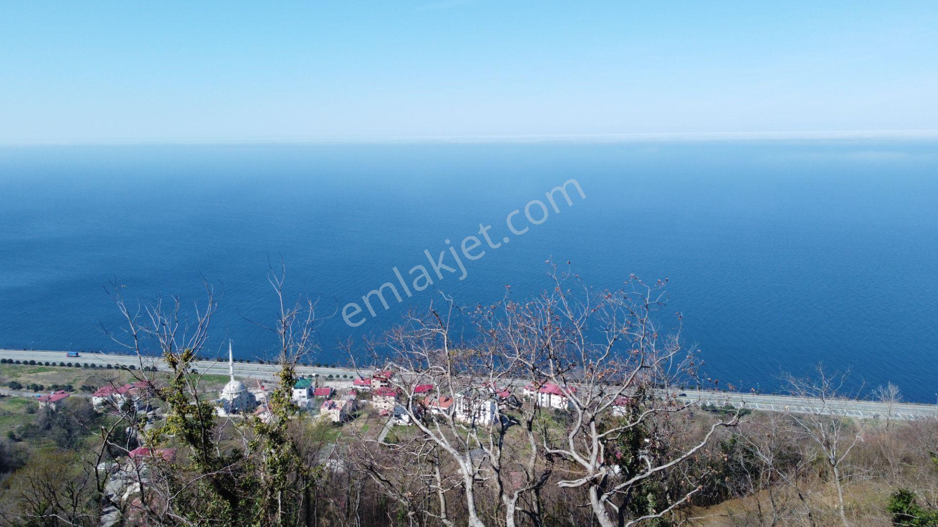 🌿 Çarşıbaşı Fener’de Panoramik Deniz Manzaralı Villa İmarlı Arsa 🌊 - Görsel 22