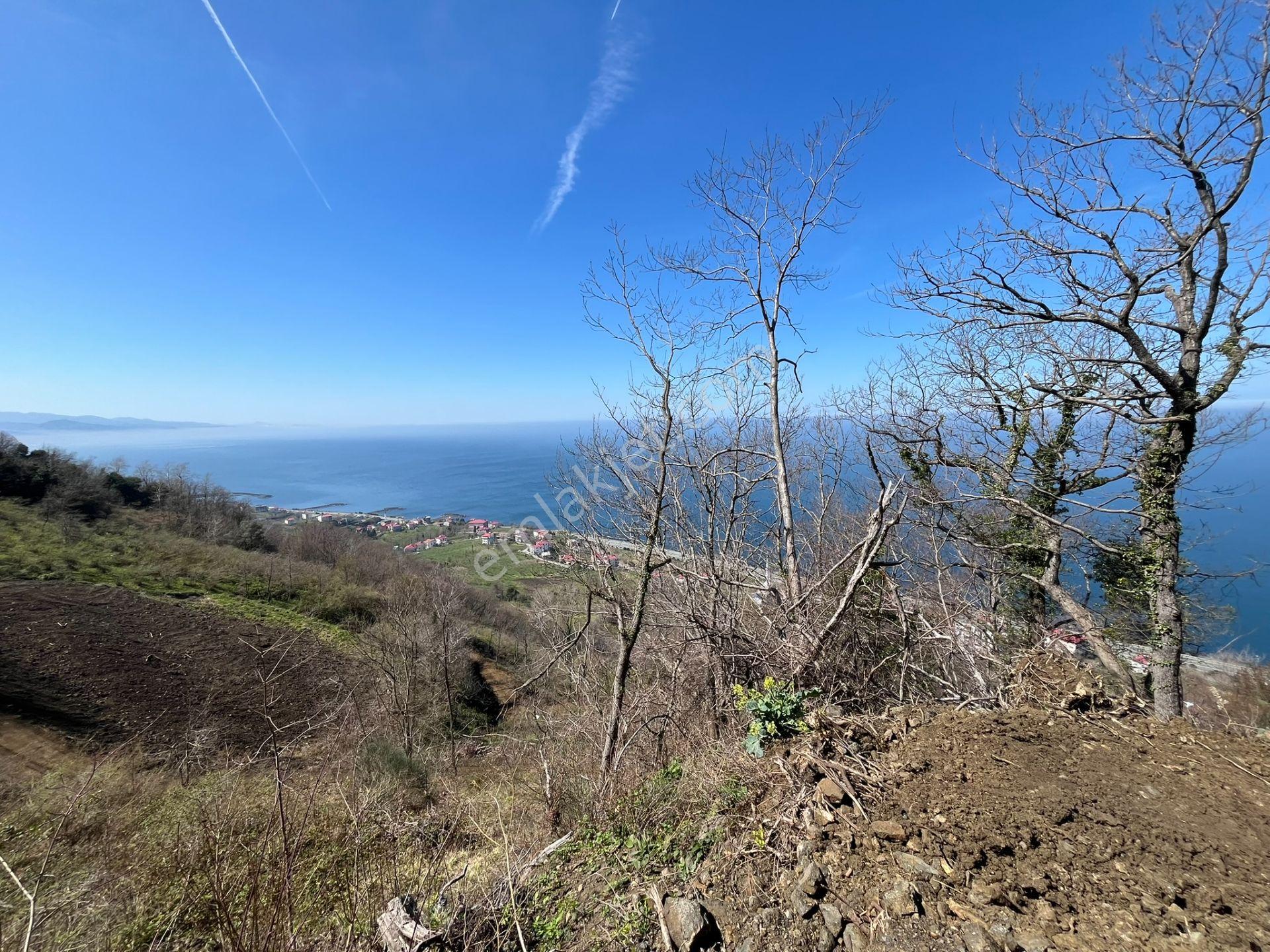 🌿 Çarşıbaşı Fener’de Panoramik Deniz Manzaralı Villa İmarlı Arsa 🌊 - Görsel 25