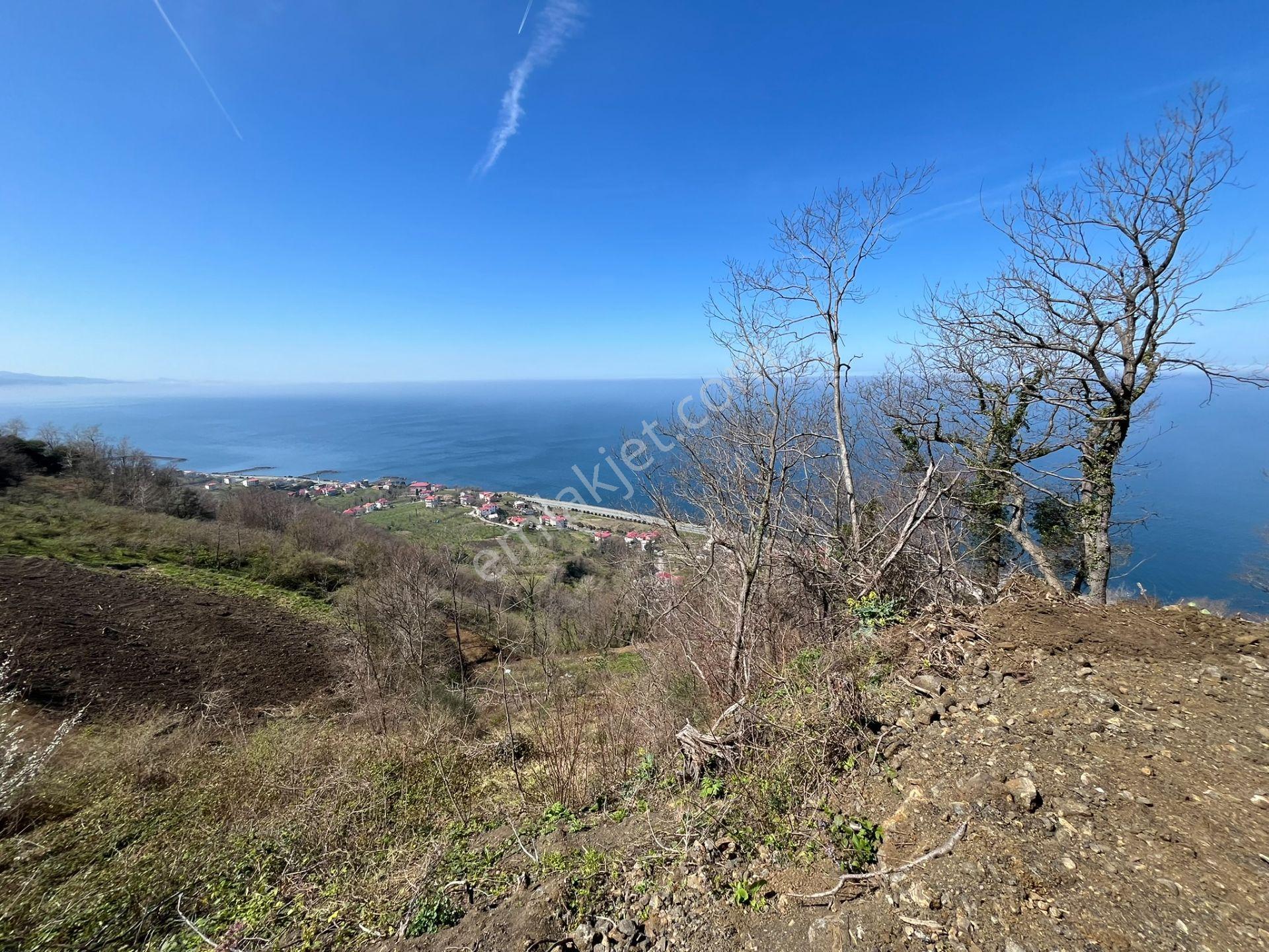 🌿 Çarşıbaşı Fener’de Panoramik Deniz Manzaralı Villa İmarlı Arsa 🌊 - Görsel 29