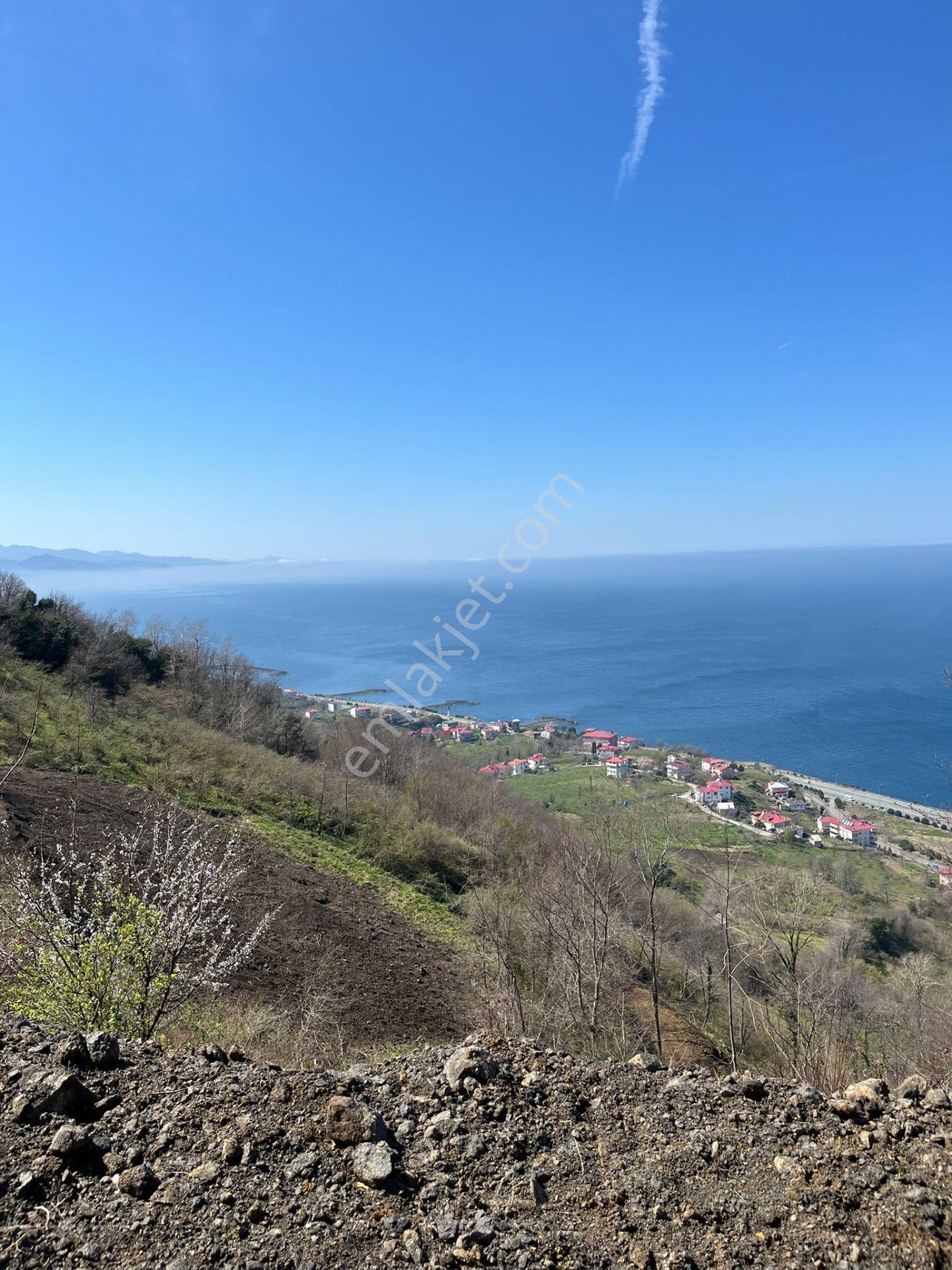 🌿 Çarşıbaşı Fener’de Panoramik Deniz Manzaralı Villa İmarlı Arsa 🌊 - Görsel 24