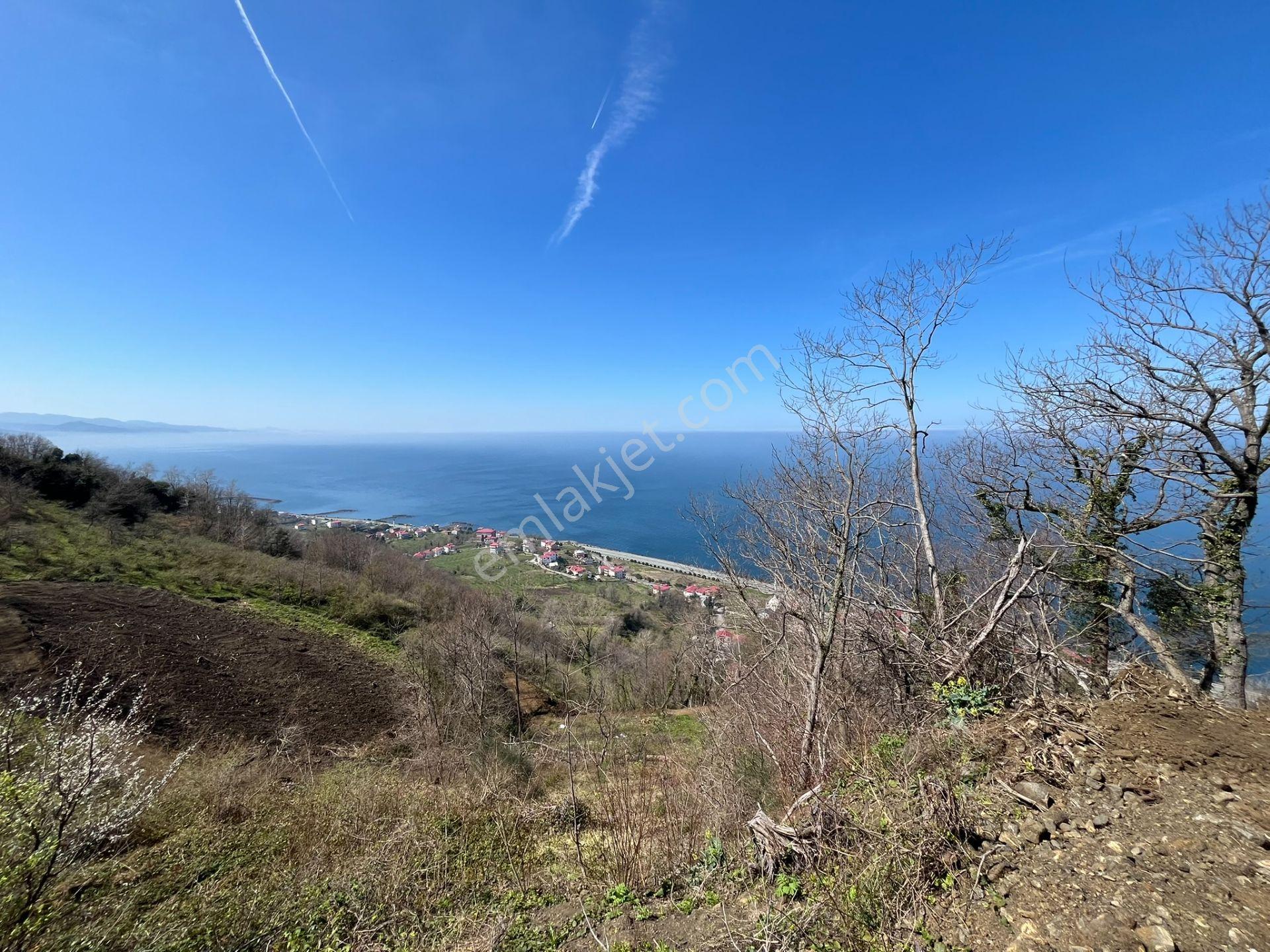 🌿 Çarşıbaşı Fener’de Panoramik Deniz Manzaralı Villa İmarlı Arsa 🌊 - Görsel 30
