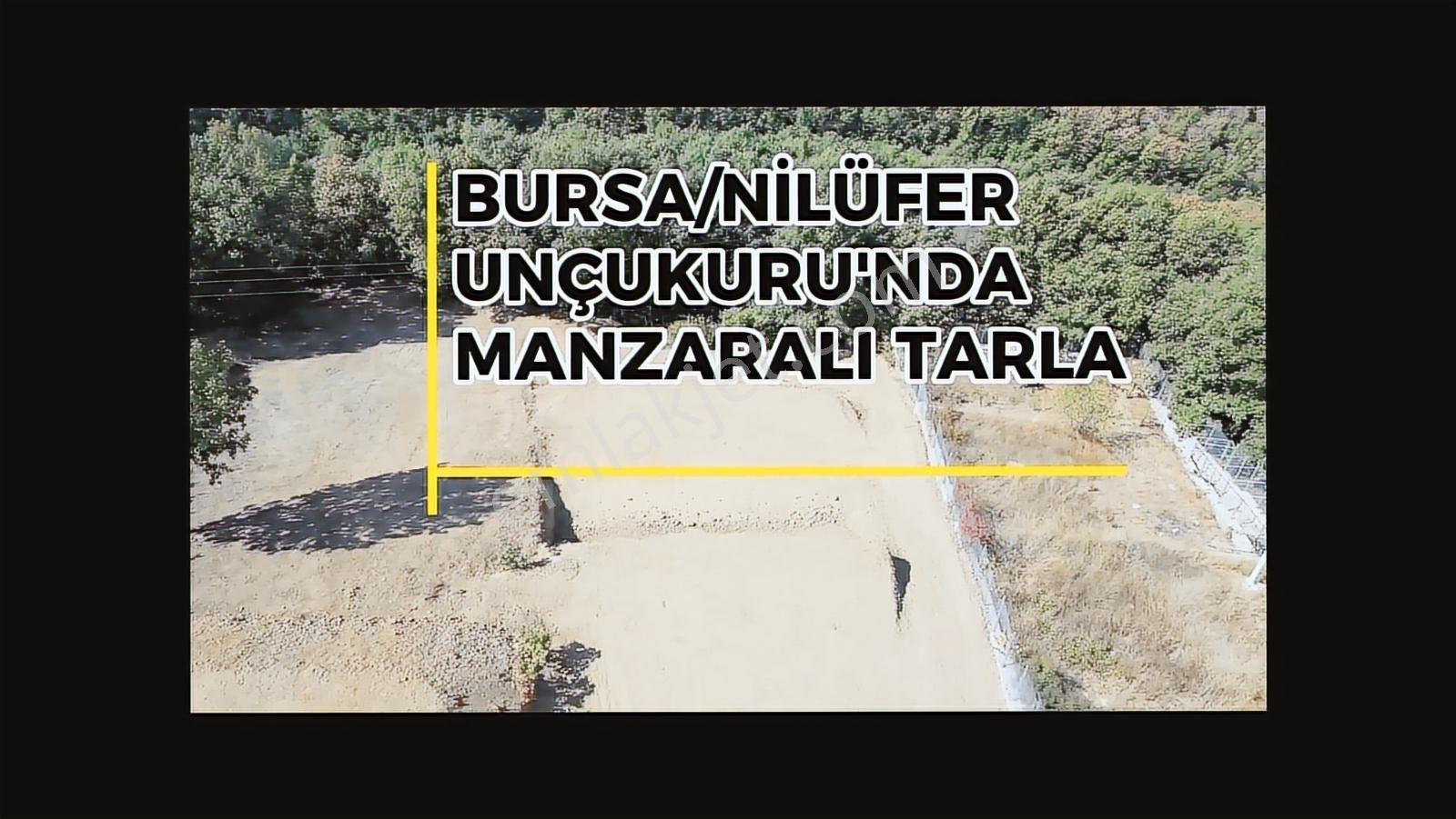 Unçukru'nda Mükemmel Konumda Göl Manzaralı Bağ - Görsel 5