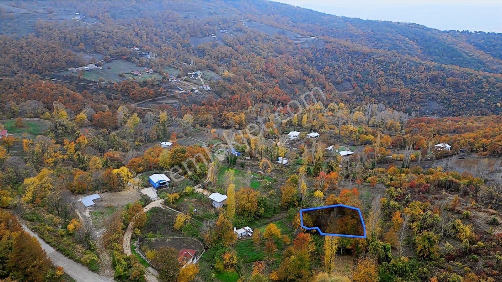Maksempınar'da 1310 M2 Hobi Bahçesi - Görsel 9
