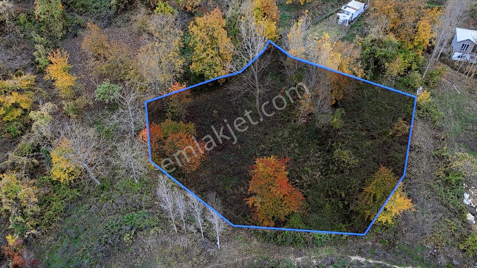 Maksempınar'da 1310 M2 Hobi Bahçesi - Görsel 4