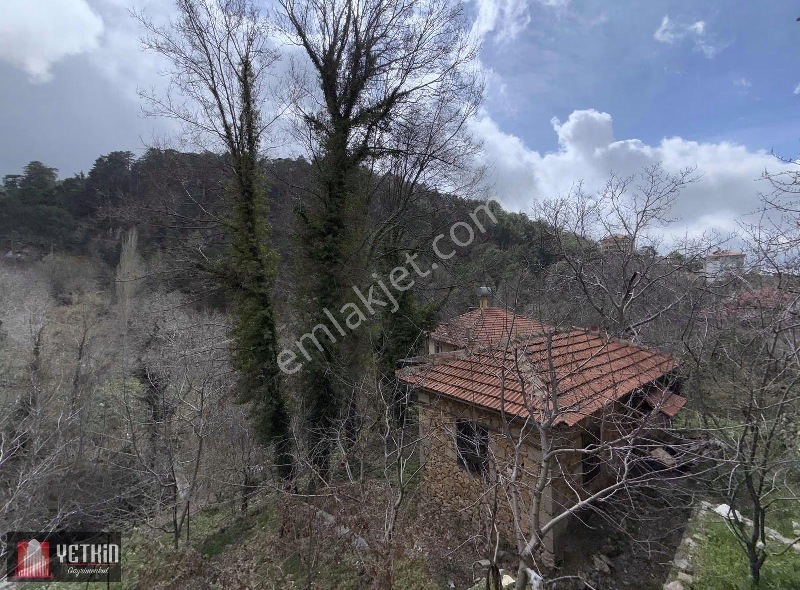 Alanya/gedevet 552m2 Üzerine Kurulu Müstakil Ev - Görsel 3