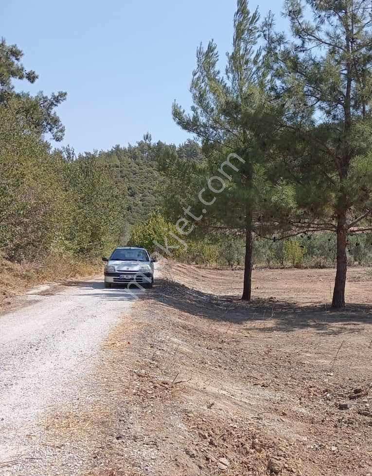Menderes Ahmetbeyli'de Satılık Fırsat Tarla - Görsel 3