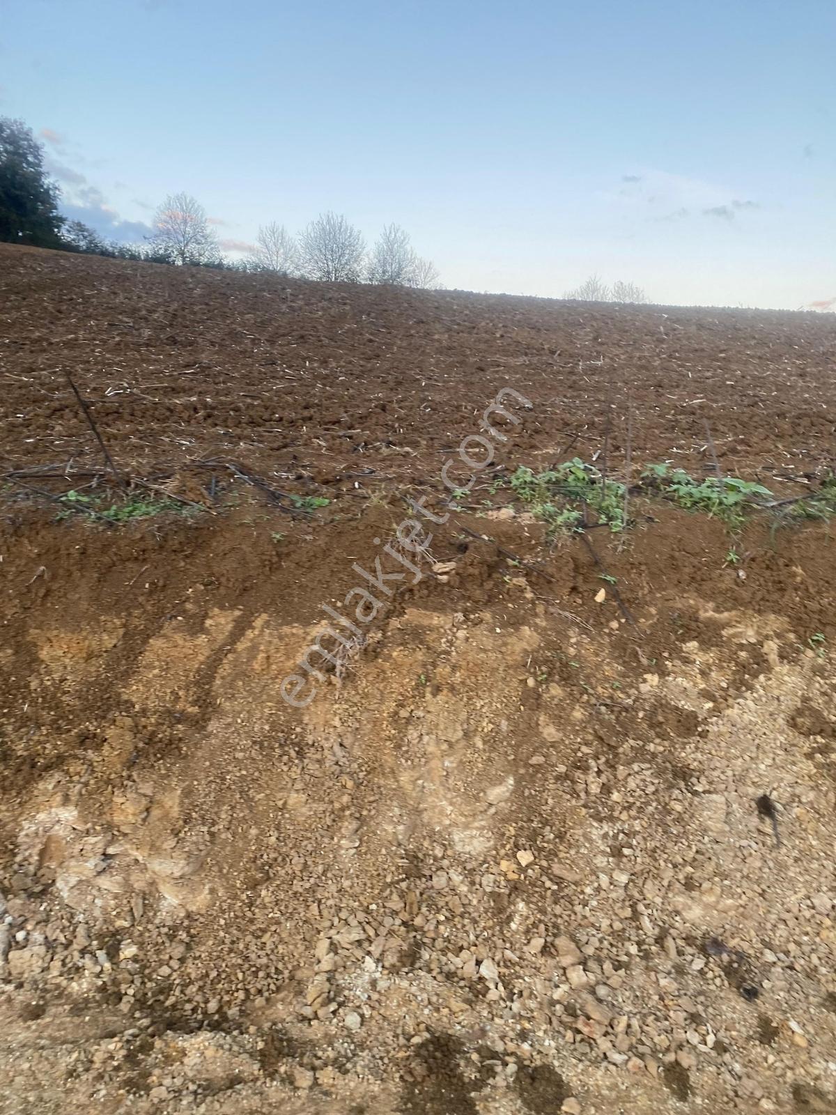 Merkezde Zirve Konumda Konut İmarlı 550 M2 Satılık Arsa - Görsel 14