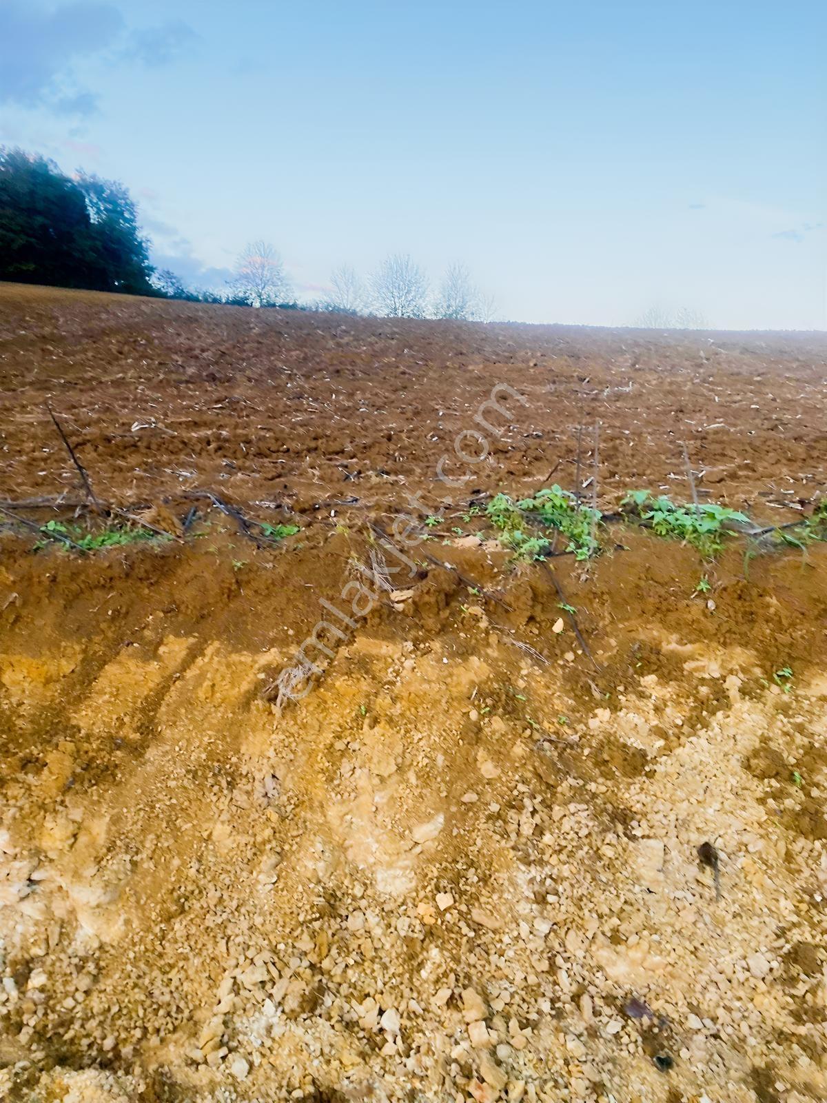 Merkezde Zirve Konumda Konut İmarlı 550 M2 Satılık Arsa - Görsel 16