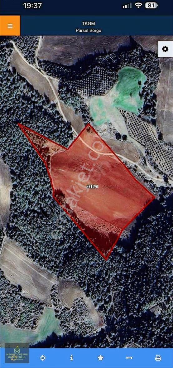 Karaisali Kuzgun'da 500m2 Satılık Arsa