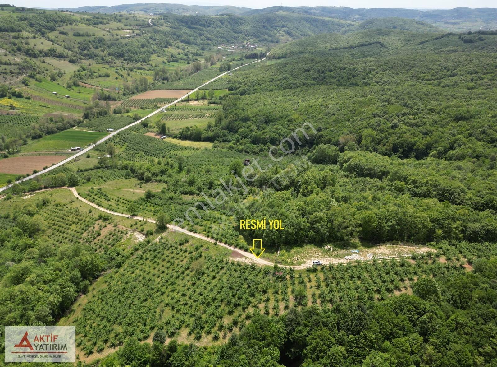 Orman Kenarı Resmi Yollu Zirvede Teras Konumda 1000 M2 Tarla - Görsel 20