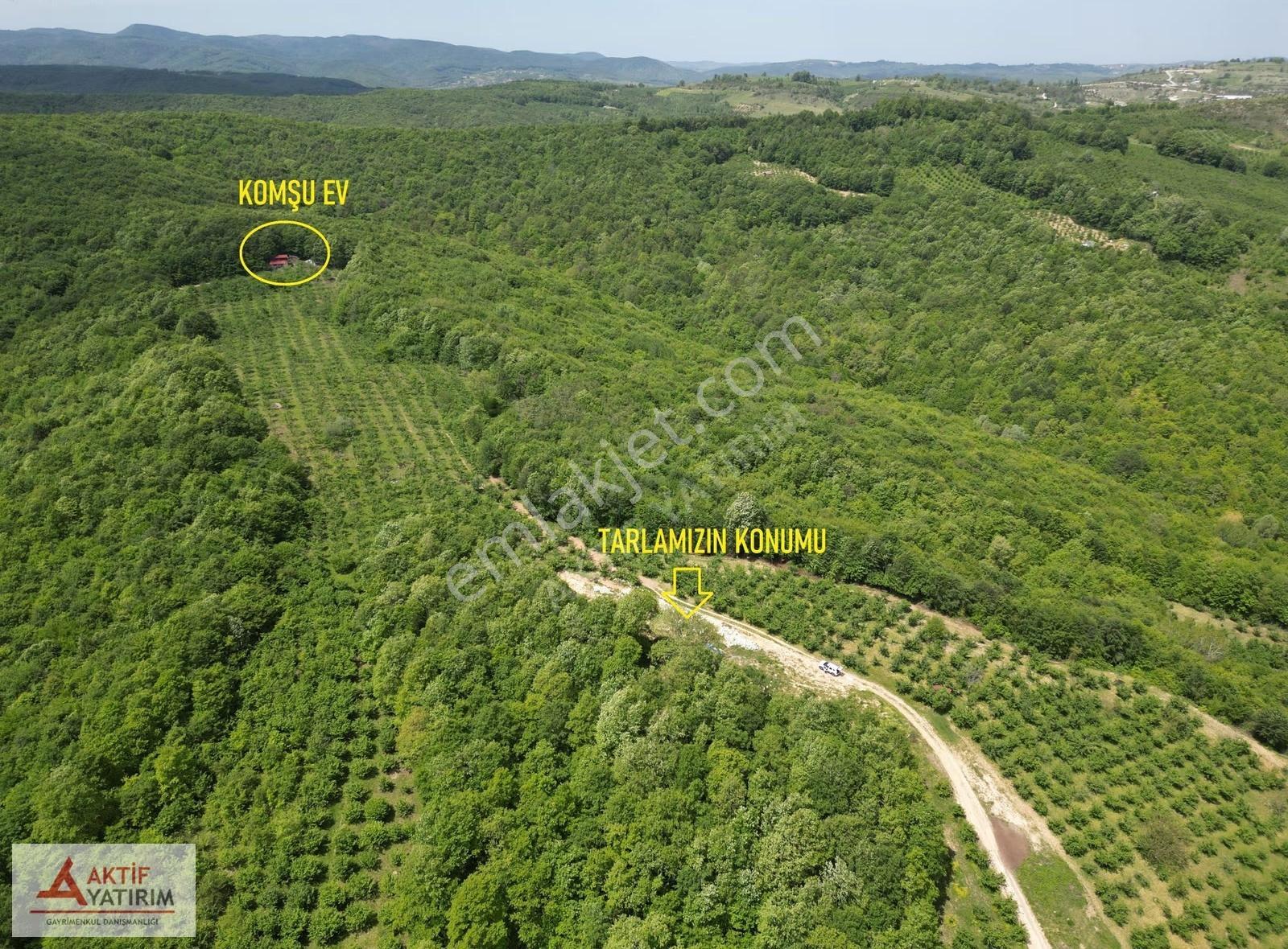 Orman Kenarı Resmi Yollu Zirvede Teras Konumda 1000 M2 Tarla - Görsel 10