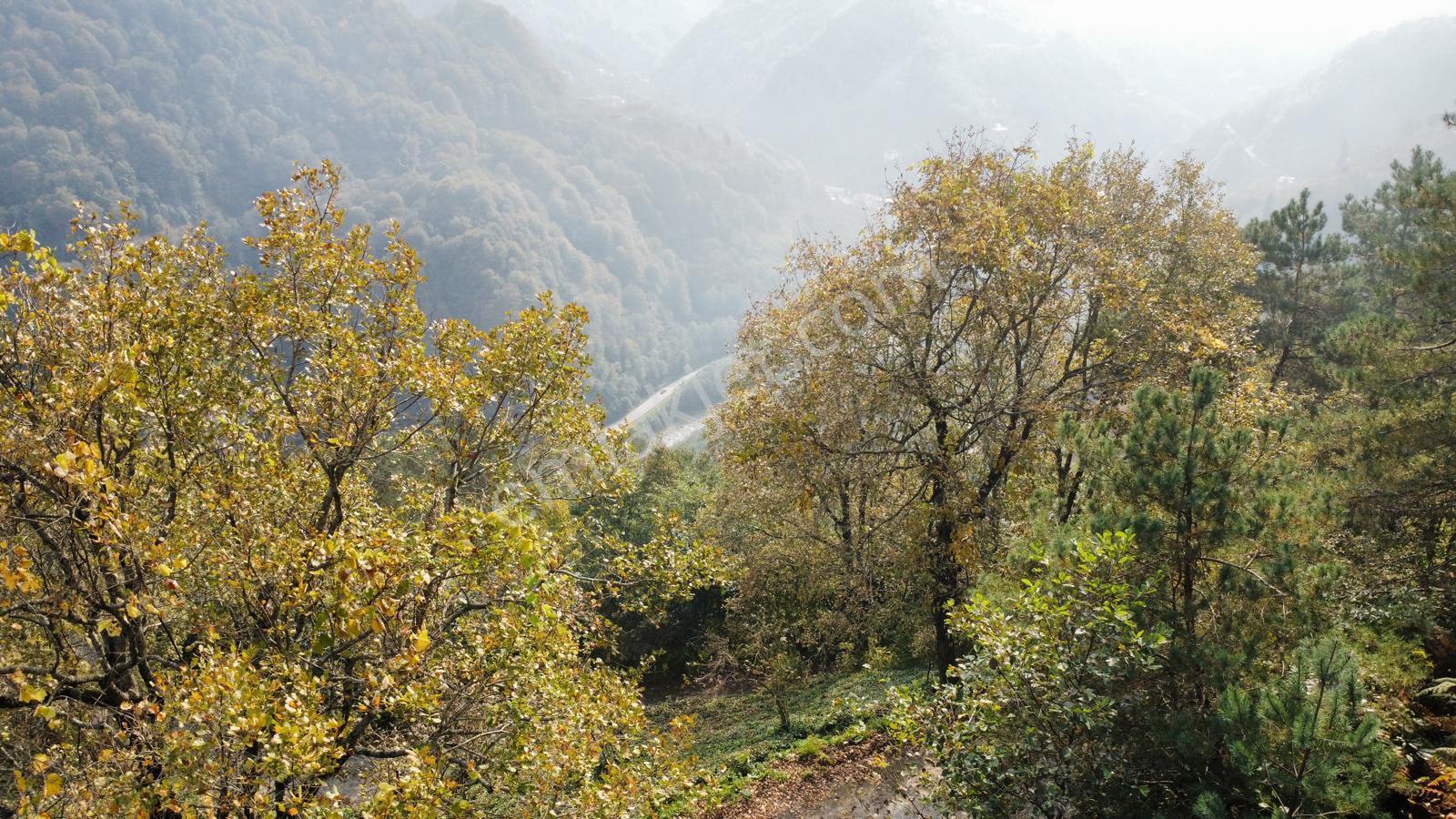 Trabzon Sürmene'de Satılık Arazi - Görsel 8