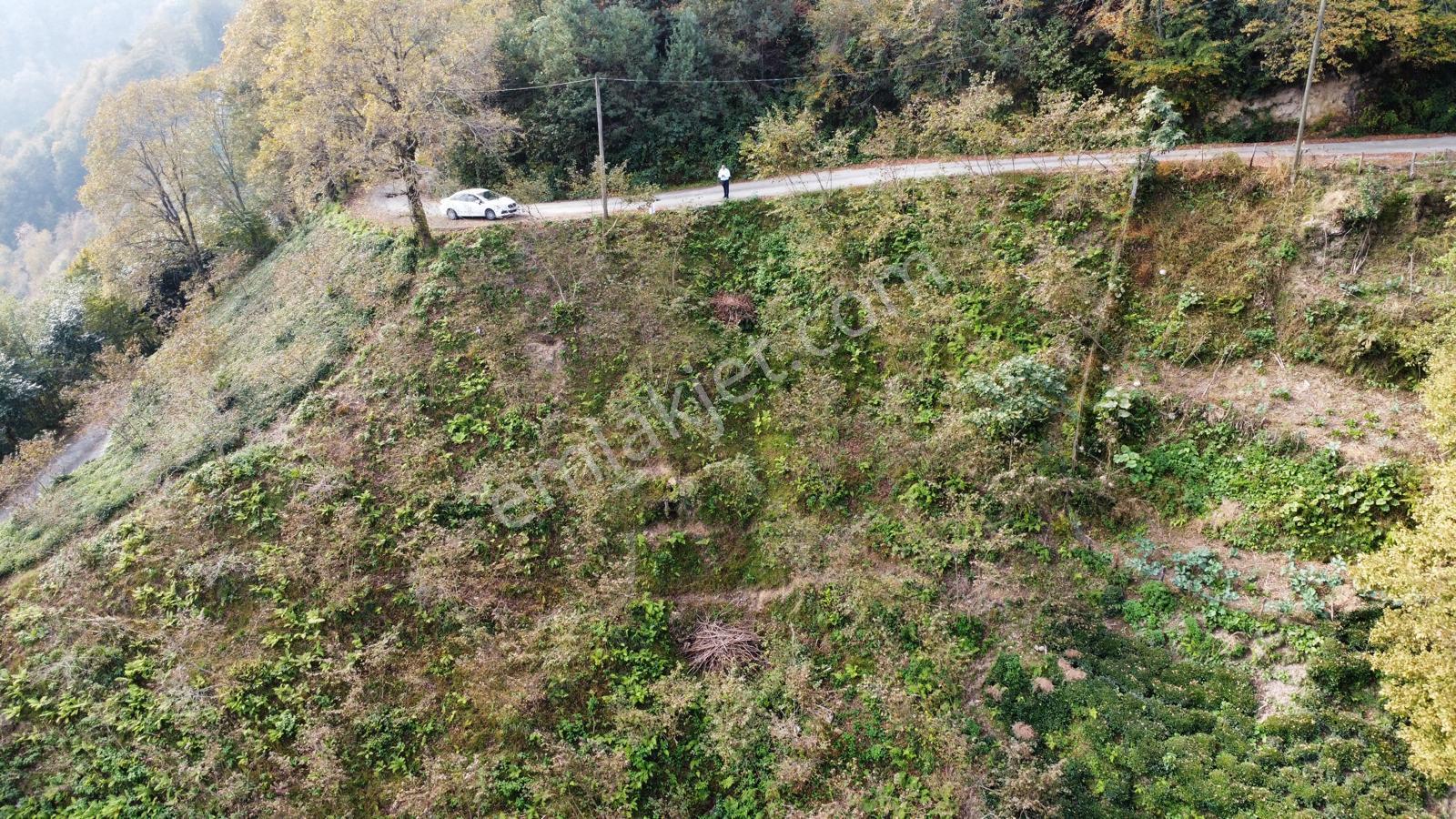 Trabzon Sürmene'de Satılık Arazi - Görsel 12