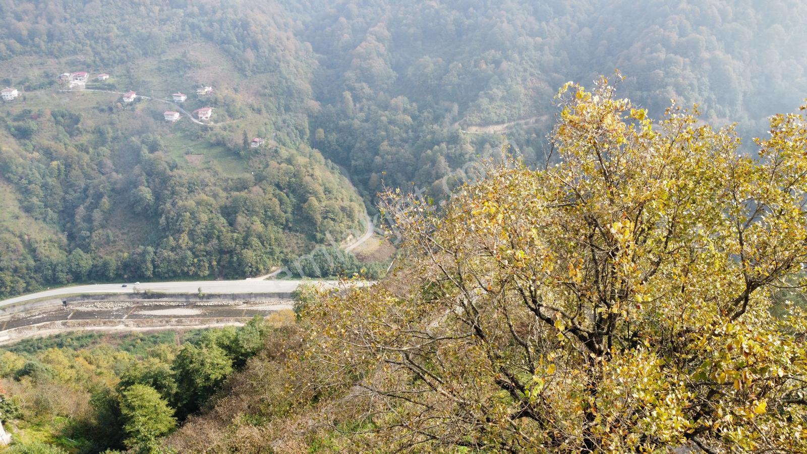 Trabzon Sürmene'de Satılık Arazi - Görsel 6