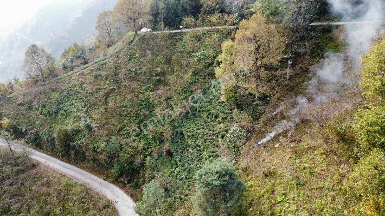 Trabzon Sürmene'de Satılık Arazi - Görsel 15