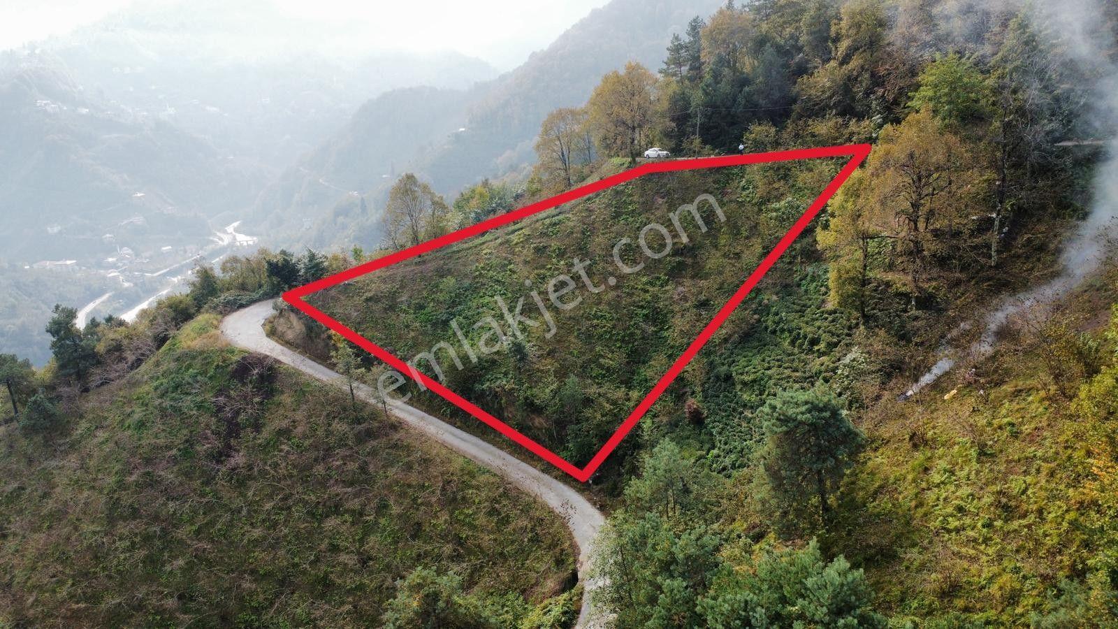 Trabzon Sürmene'de Satılık Arazi - Görsel 7