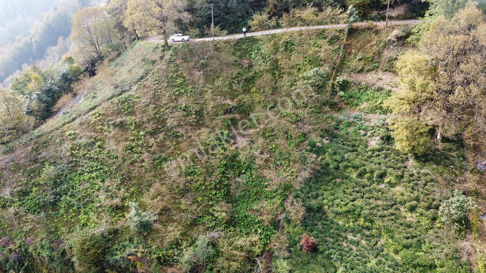 Trabzon Sürmene'de Satılık Arazi - Görsel 13