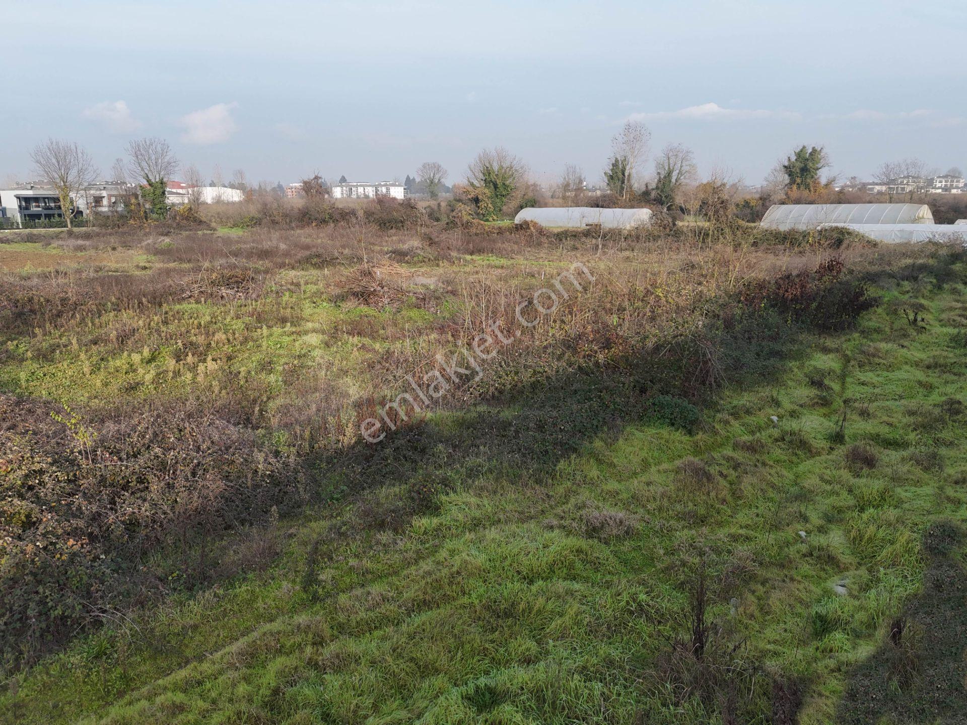 Nv Gayrimenkul'den Darıcı'da Merkezi Konum 491 M2 Satılık Arsa - Görsel 14