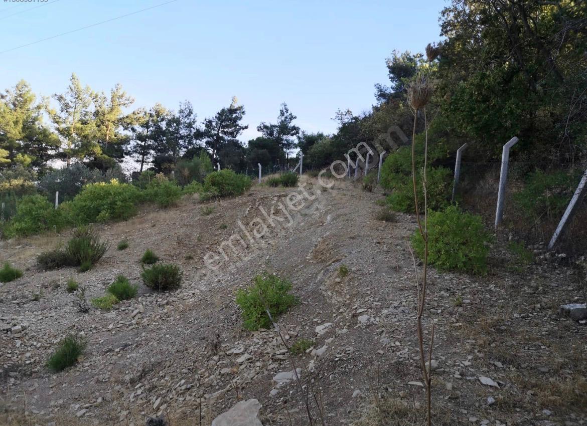 Eu Gayrimenkul'den Deniz Manzaralı 827 Metrekare Tarla - Görsel 6